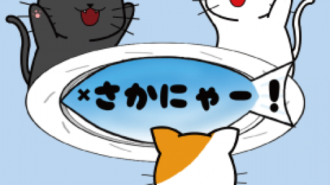 [さかにゃー！]